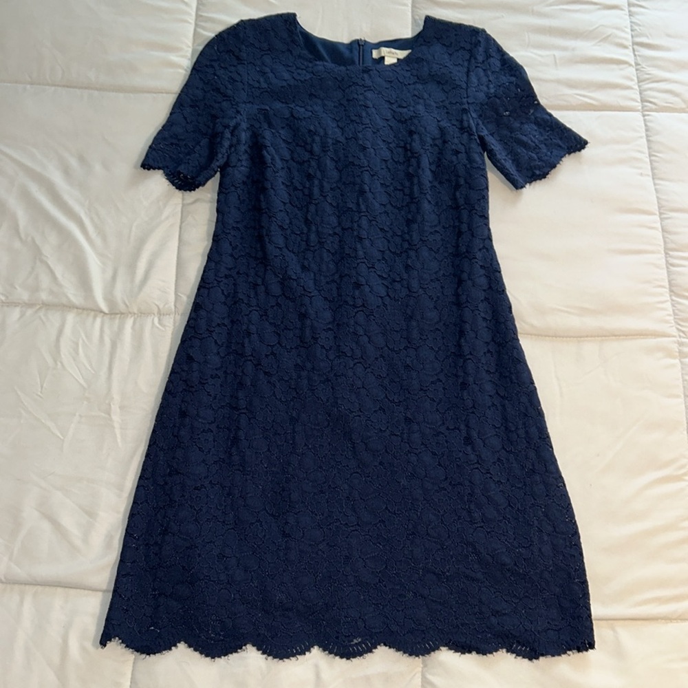 Lark & Ro Dress Size 6 Blue Lace Floral Pattern